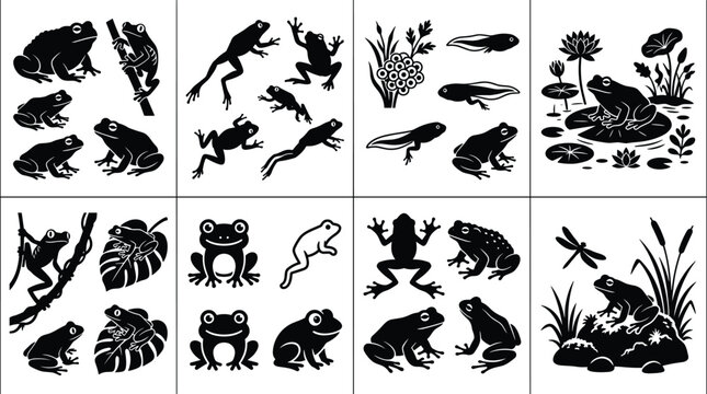 Black silhouette frogs with eggs, tadpoles, lily pads, branches, and aquatic plants in diverse nature vector collection design