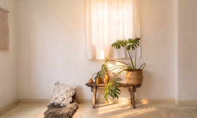 Cozy Interior with Tropical Plant and White Sheer Curtain © SOYOUNG