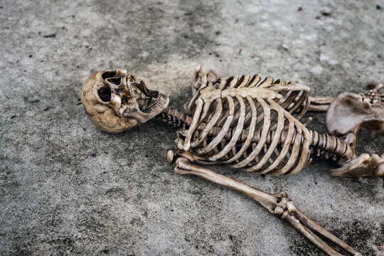 Dark Human skeleton model lying on old abandoned concrete floor. view of skull and rib cage. concept of forensic science, death mystery and crime scene investigation.