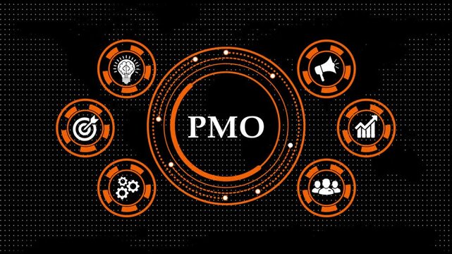 PMO abbreviation appearing in circle surrounded by business related icons.