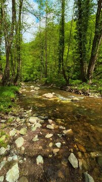 Rocks line the water's shallow path. Gradac River, Serbia. Vertical