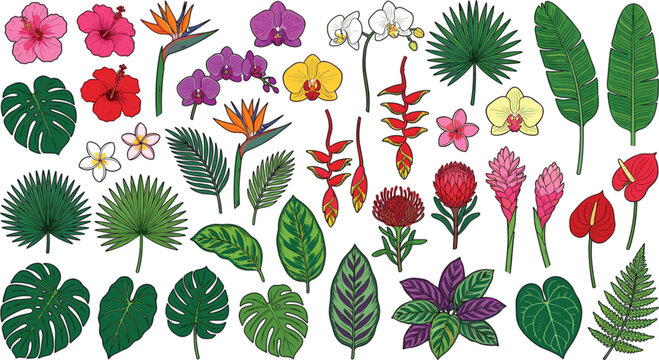 Tropical Flowers and Leaves Collection Set with Hibiscus Orchid Palm Monstera Flat Vector Illustration