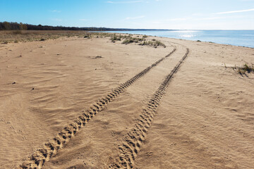 Fototapeta premium Turning all-terrain vehicle tracks goes across the sandy beach on a sunny day, summer landscape photo background