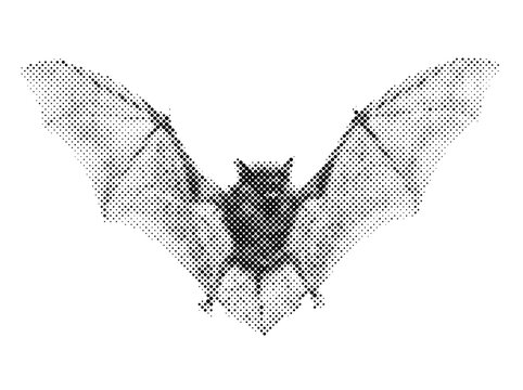 Flying Vampire Animal Bat in Halftone Halloween Retro Vintage Spooky Scary Horror Wildlife Graphic Art.