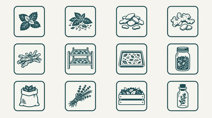 Fototapeta premium Flat minimal vector icon set of 12 dried herbal products: dried mint leaves, dried basil, dried turmeric slices, dried ginger slices, dried roots pile, drying rack, sun-dried herbs tray, herbal jar