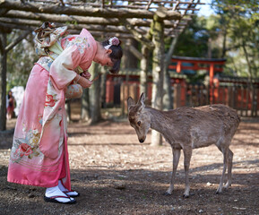 Woman and deer bowing to each other, Nara © Xalanx