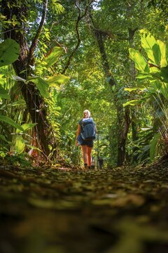Tourist exploring rainforest, dense vegetation, Tortuguero National Park, Costa Rica