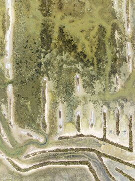 Abandoned saline ponds in the Bah&iacute;a de C&aacute;diz Nature Reserve. Aerial view. Drone shot. C&aacute;diz province, Andalusia, Spain