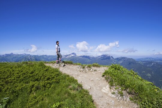 Hiking trail from Fellhorn, 2038m, to S&ouml;llereck, Allg&auml;u Alps, Bavaria, Germany, in the background the mountain Hoher Ifen, 2230m, Vorarlberg, Austria