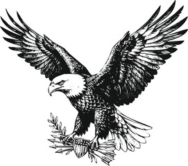 Fototapeta premium Bald eagle with outstretched wings holding olive branch and arrows in detailed engraving style against a white background