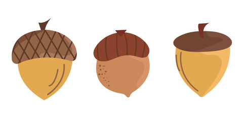 Stylized Acorn Vector Set with Three Distinct Oak Nuts, Textured Caps and Warm Earthy Autumn Colors © Nataliia