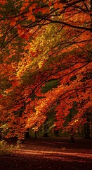 Fototapeta premium Stunning Vibrant Autumn Foliage In A Serene Forest Setting.