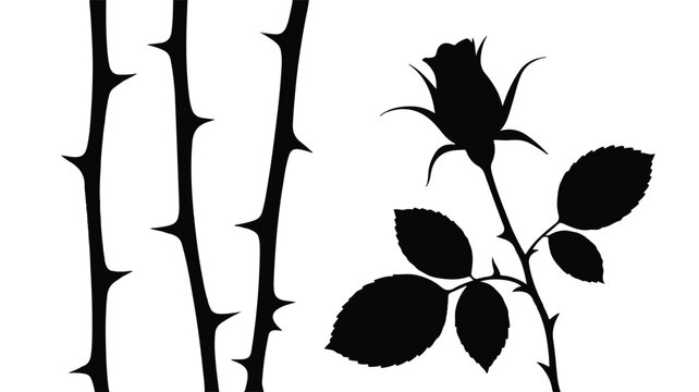 A black and white silhouette illustration of a rose with thorns and leaves on a stem