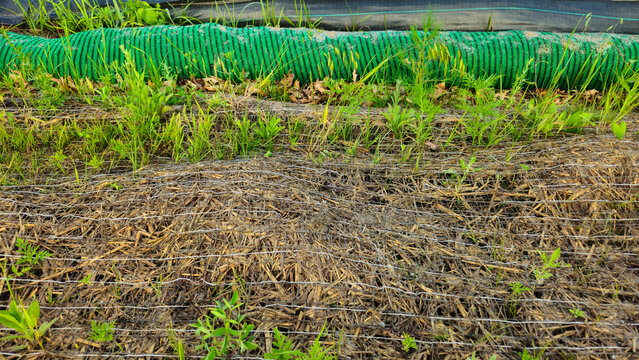 A rolled out erosion control mat, designed to stabilize soil and retain moisture for vegetation growth. A silt sock is in the background.