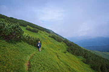 Obraz premium A solo hiker with a backpack walks along a grassy mountain trail, surrounded by lush green slopes, pine shrubs, and a misty, overcast sky in the high-altitude wilderness.