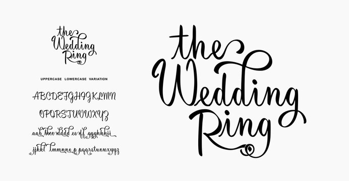 Elegant Font Uppercase Lowercase and variation, Classic Lettering Minimal Fashion Designs. Typography modern serif fonts regular decorative vintage concept. vector illustration