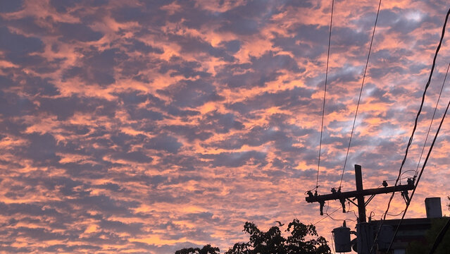 Pink Sky at Night, Electric Wires at Height