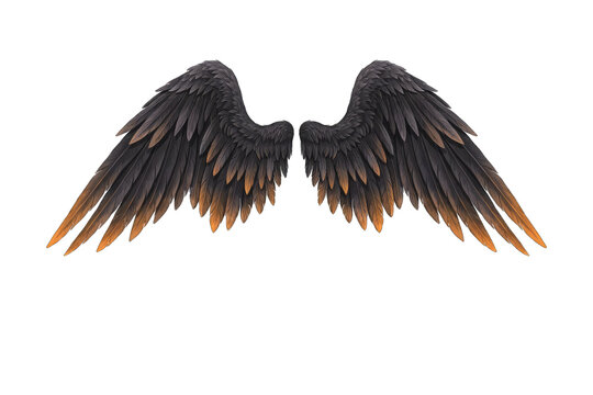 A digital illustration of a pair of large, dark grey wings with glowing orange tips, set against a plain white background.