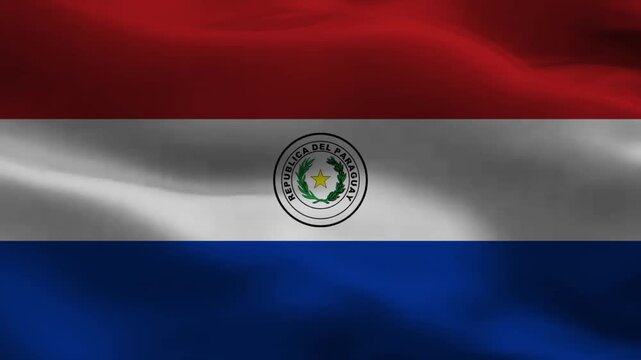Paraguay National Flag Waving in the Wind with Emblem
