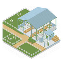 Isometric view of a modern dairy farm with cows in pastures and barn, showing agricultural machinery and buildings. © gonel