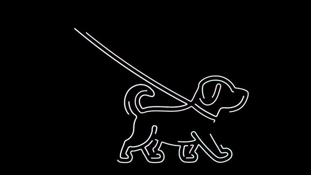 Minimalist White Neon Outline Drawing of a Cute Little Puppy Walking on a Leash Against a Deep Black Background Simple Graphic Style Animated Line Art Motion Concept for Modern Pet Store Branding Desi
