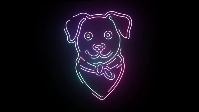A vibrant glowing neon dog portrait animation featuring a cute pet wearing a bandana that pulses with rhythmic blue and pink light cycles on a deep black background for a modern digital motion design
