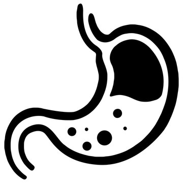 stomach, organs, body organs