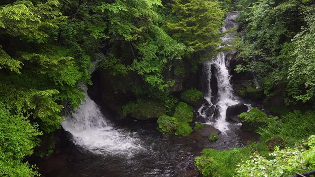 雨の日の日光竜頭の滝