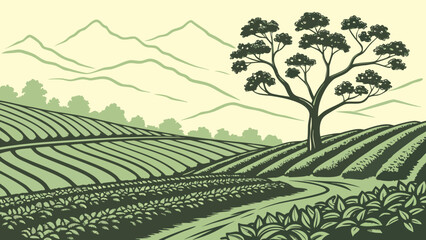 Tea plantation farm with mountain backdrop plantation agriculture mountains © Golap