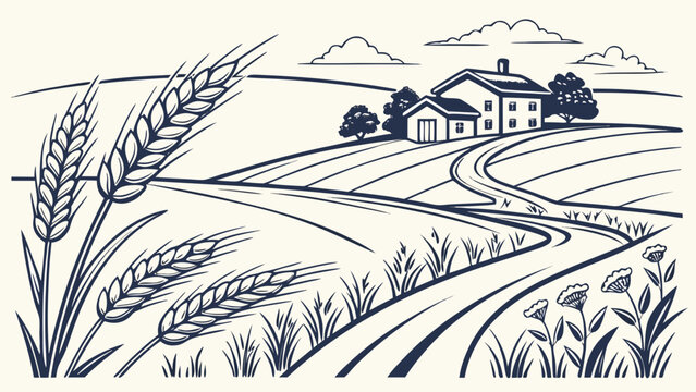 Graphic illustration of rural farmhouse in wheat field with farmhouse, landscape