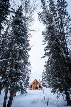 Log cabin in the woods