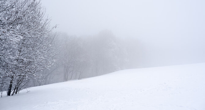 Minimalist winter landscape with snow covered hill and frosted forest trees in thick fog