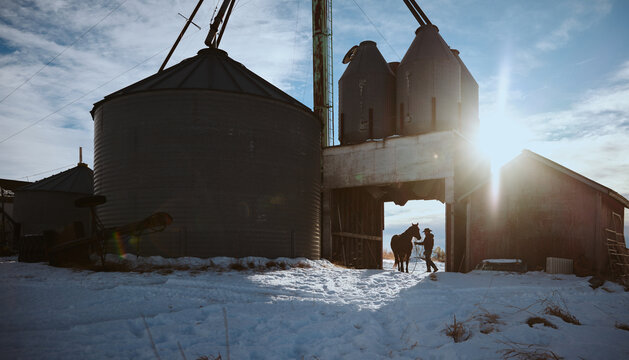 Farm Person Leads Horse Through Snow in Winter Evening Sky