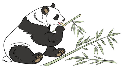 Giant panda bear sitting and eating bamboo stalk illustration with wildlife © Mehe