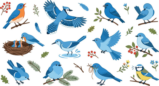Cute Blue Bird Vector Icon Set with Blue Jay Bluebird and Titmouse in Various Poses Flying Nesting and Perching for Nature Graphic Designs