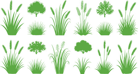 Fototapeta premium Vector illustration of green plant silhouettes representing grasses, shrubs, and small trees for botanical and nature themes