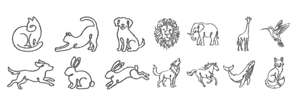 Collection of various animal line drawings on white background