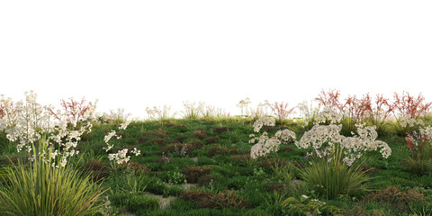 Obraz premium Flower meadow terrain isolated on transparent background. 3D rendering.