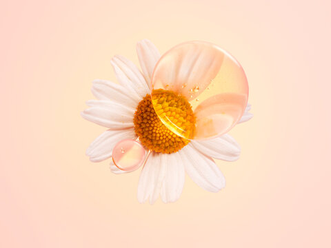 Daisy / chamomile against a pink background with oil bubble