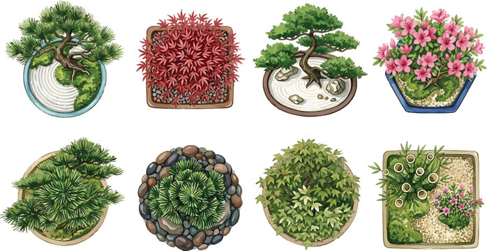 Top view bonsai trees and miniature garden set with various plants in pots as vector illustration collection