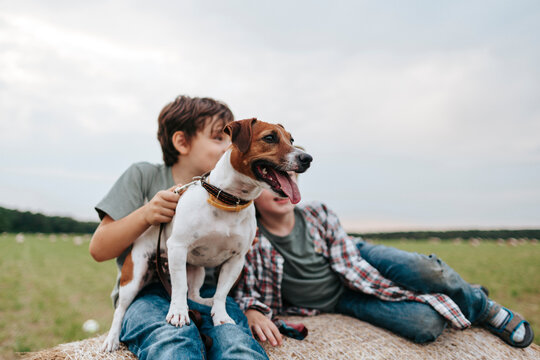 Two Boys Enjoy a Sunny Day With Their Playful Dog on a Farm