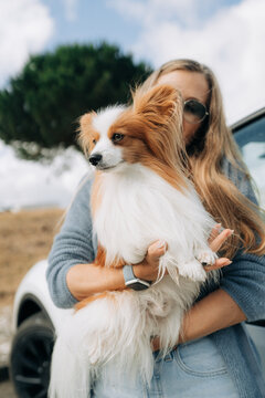 Close Portrait of Papillon Dog in Woman Arms