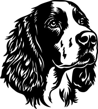 Portrait of an english springer spaniel dog, black and white vector illustration