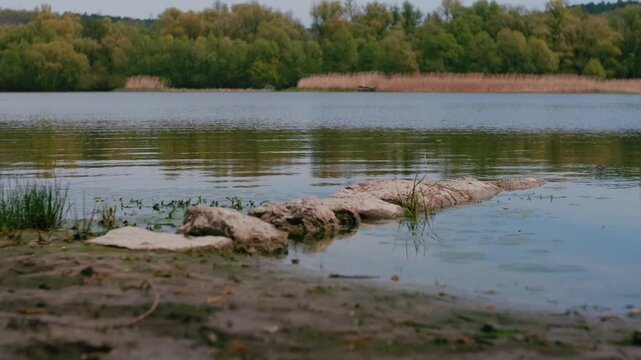 spring nature on the banks of the Dniester