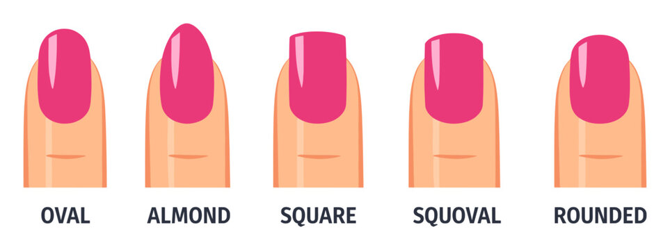 Hand showing popular nail shapes for beauty, manicure, and personal style, featuring oval, almond, square, squoval, and rounded nails
