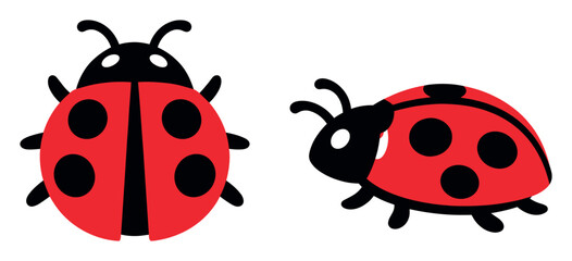 Fototapeta premium Ladybug cartoon characters in an icon set, showing two views of a classic red and black insect
