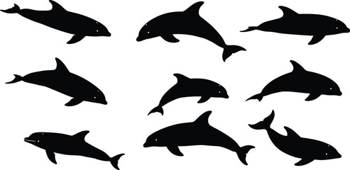 Dolphin silhouette collection, ocean marine animal illustration, black dolphin vector design, sea mammal shapes, aquatic wildlife clipart for nature artwork © Moksedul  Creative