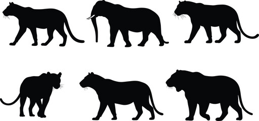 Obraz premium Wild tiger and elephant silhouettes collection, jungle wildlife vector design, majestic animal shapes, safari nature illustration for graphic artwork