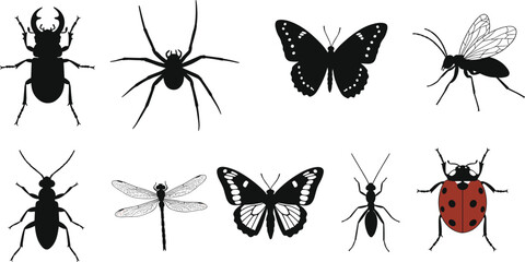 Insect silhouettes collection, butterfly beetle ant spider dragonfly wasp ladybug vector set, black and red insect icons illustration, nature design © Moksedul  Creative