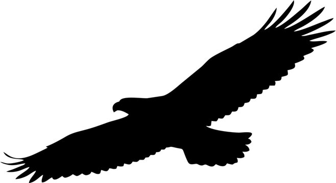 Soaring Eagle Silhouette.eps